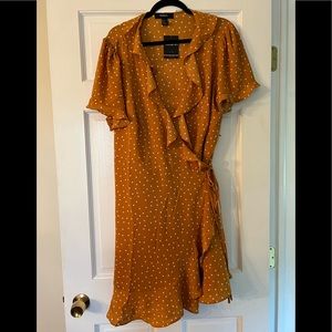 NWT Adorable Plus Size Polka Dot Dress 3X 🍁